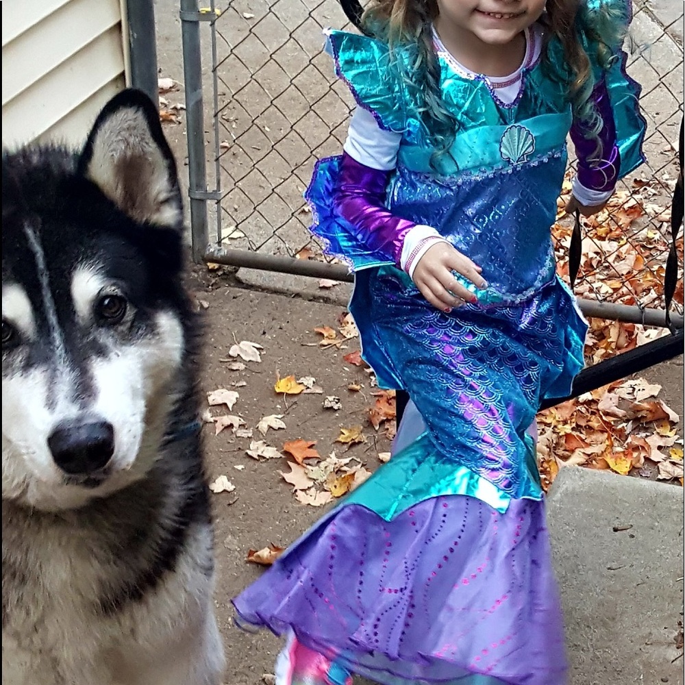 Mermaid Costume